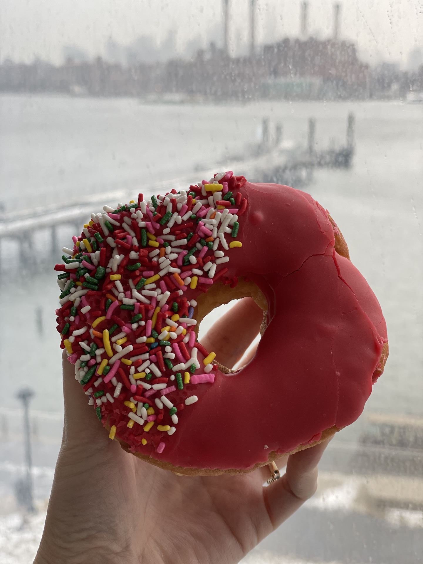 Greenpoint's Best Bakeries Ovenly, Jaslowiczanka, Moe's and More