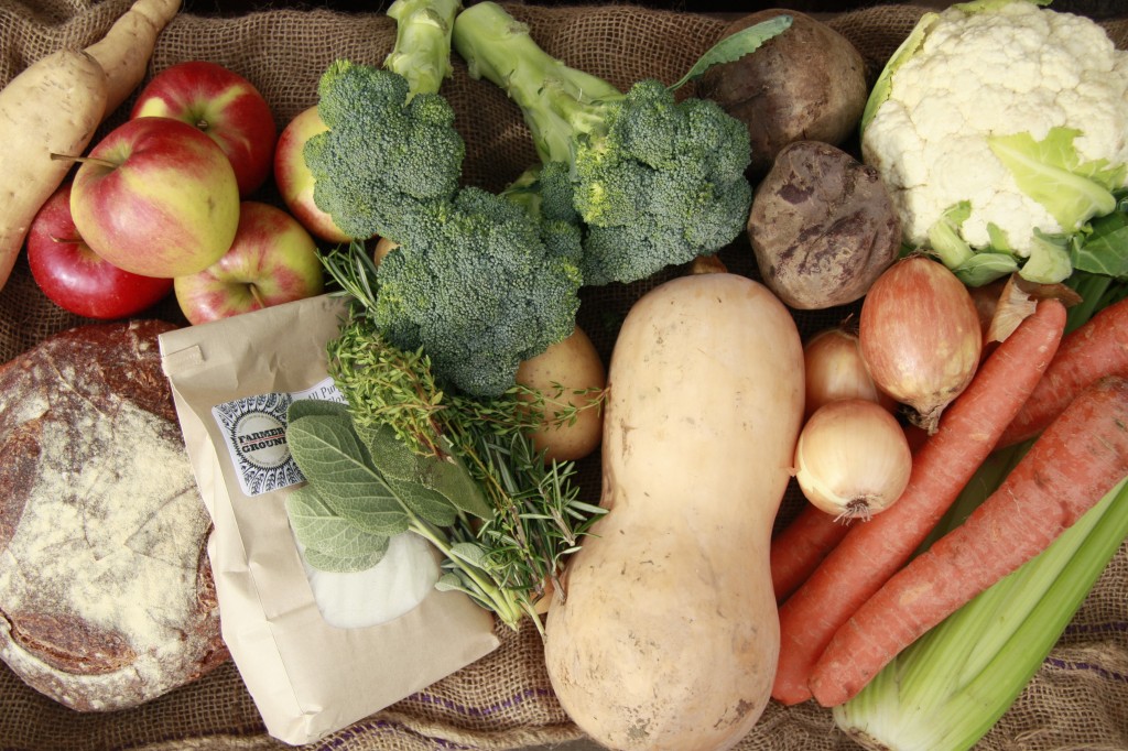 thanksgiving CSA