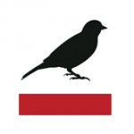 Sparrow_1