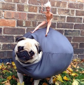 miley_dogcostume_dogoween