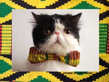 Kitty Pride Inc.