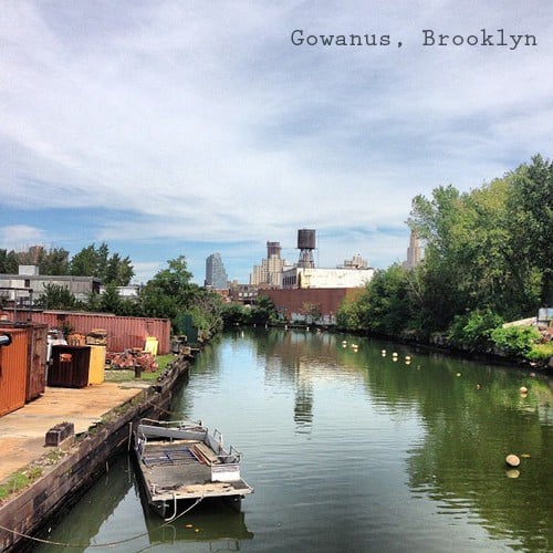 tedxgowanusinstagram