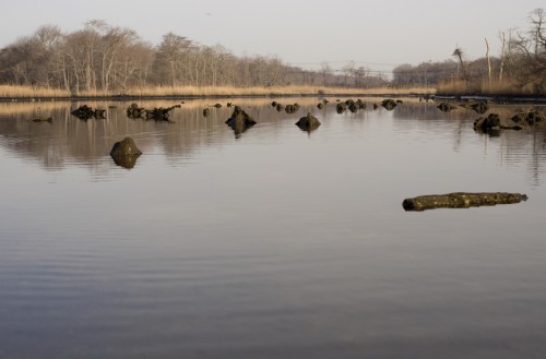 forgeriver