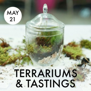 terr_taste_main-720x720
