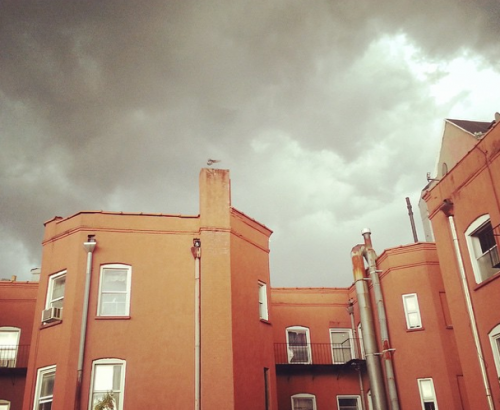 GOS1_Greenpoint_Brooklyn_Greenpointers_OnaAbelis.jpg