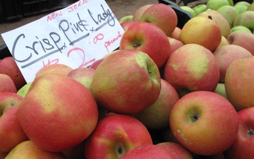 Apples_PinkLady_JerseyFarm