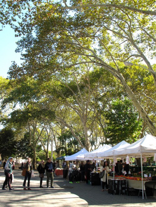 downtoearth_mcgolrick_park_farmers_market_MGP-Oct2014