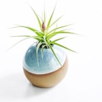 Cor Pottery