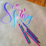 Squiddy Shop