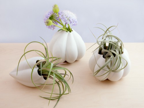 "Heirloom Seeds/Paydon & Silver Bell" c/o Megumi Yoshida