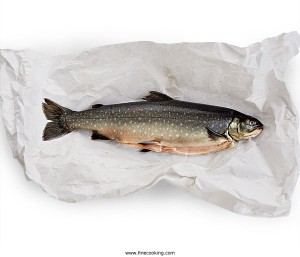 Arctic char (from finecooking.com)