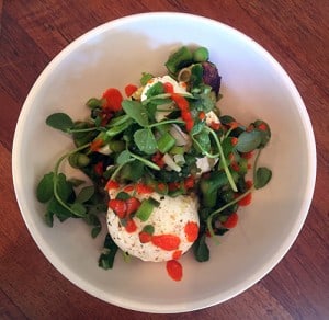 Poached eggs drizzled with their mouthwatering house hot sauce.