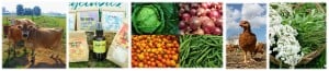 via Lancaster Farm Fresh Collective