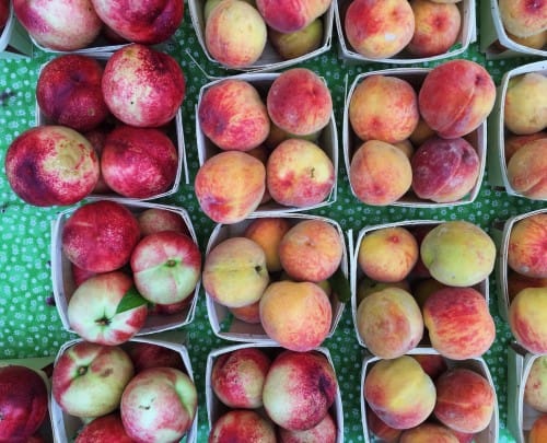 Greenmarket Maynard_greenpoint_swallace