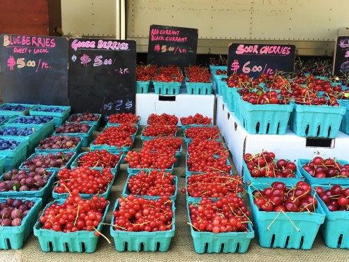 Greenmarket Red Jacket_greenpoint_swallace
