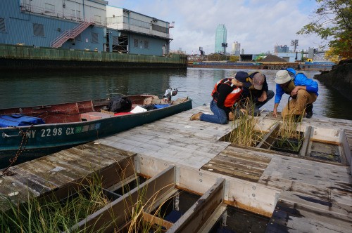The Newtown Creek Living Dock