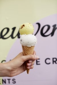 van leeuwen turmeric_greenpoint_sidney bensimon