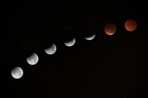 Photo by Jake Hills