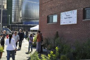 welcome_kingland_wildflowers_greenpointers_dflores