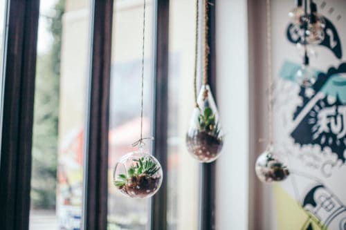 amami_greenpoint_from-restaurant