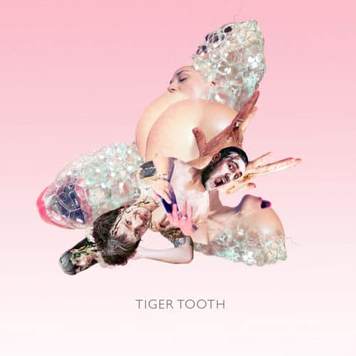 Tiger Tooth album artwork by Sofia Szamosi