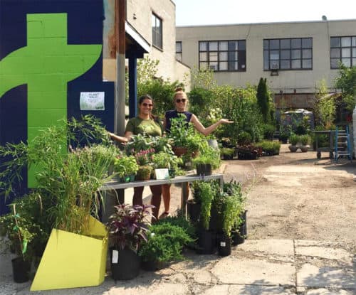 Plant Sale via Vert Gardens Instagram