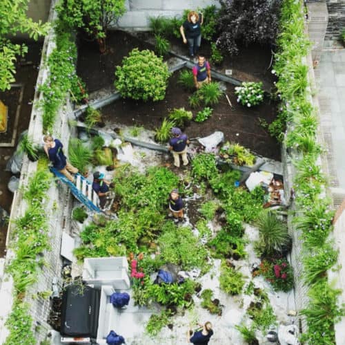 Vert Gardens gettin' it done. Via Instagram