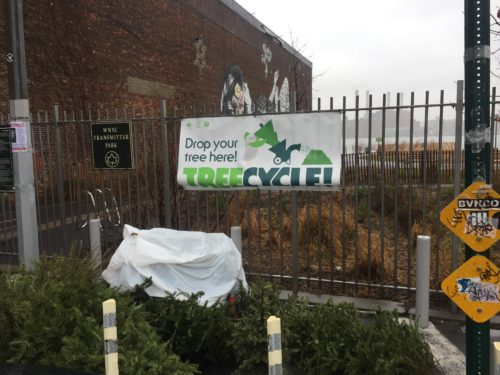 Mulchfest - Transmitter Park - Christmas Tree Dropoff