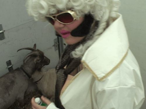 Cat Giordano at Microscope Gallery