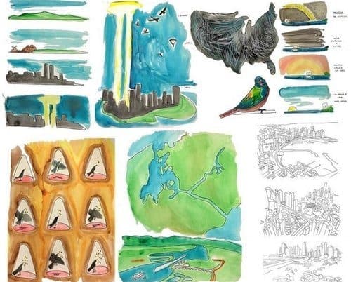 Annie Novak's avian illustrations