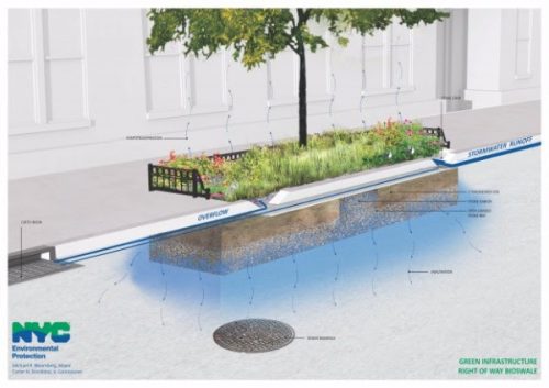 rendering of a bioswale