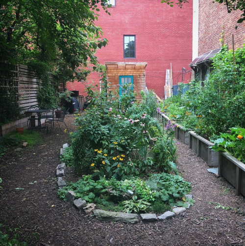 61 Franklin Street Garden. Photo: Megan Penmann