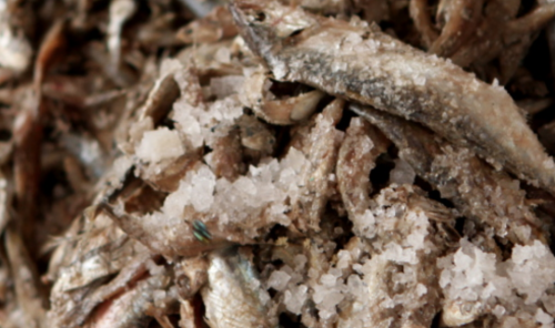 fish and salt, via MOFAD