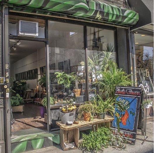 Manhattan Avenue Plant Shop Soft Opening Relocates to Nassau Avenue ...