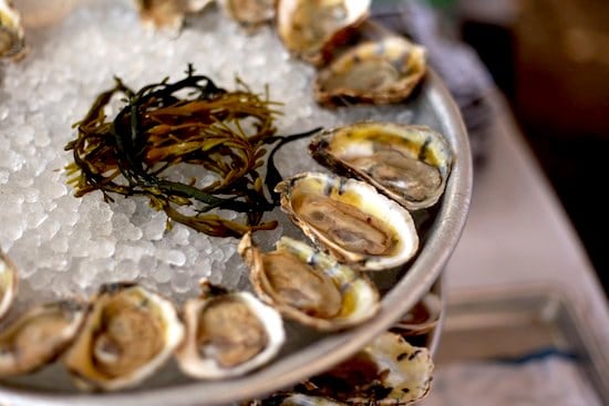 Oysters_Taste_Williamsburg_Greenpoint_Rosie_de_Belgeonne