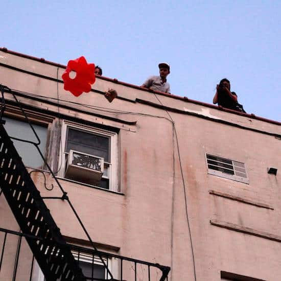 Jafflechute_diamond_rosie_de_b