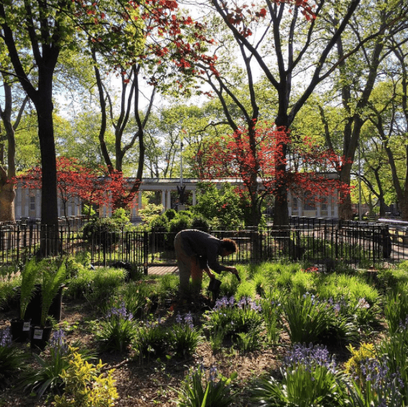 Ziemia site in McGolrick Park, via Ziemia Instagram