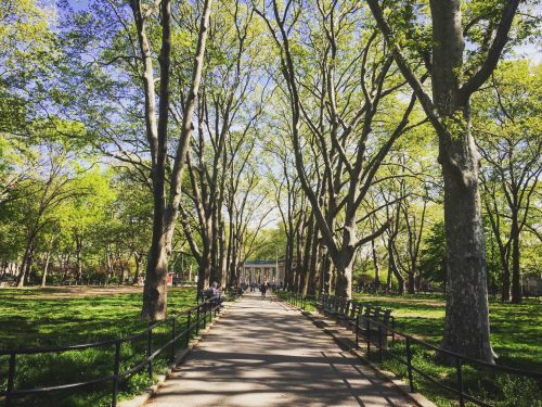 McGolrick Park, photo by Megan Penmann