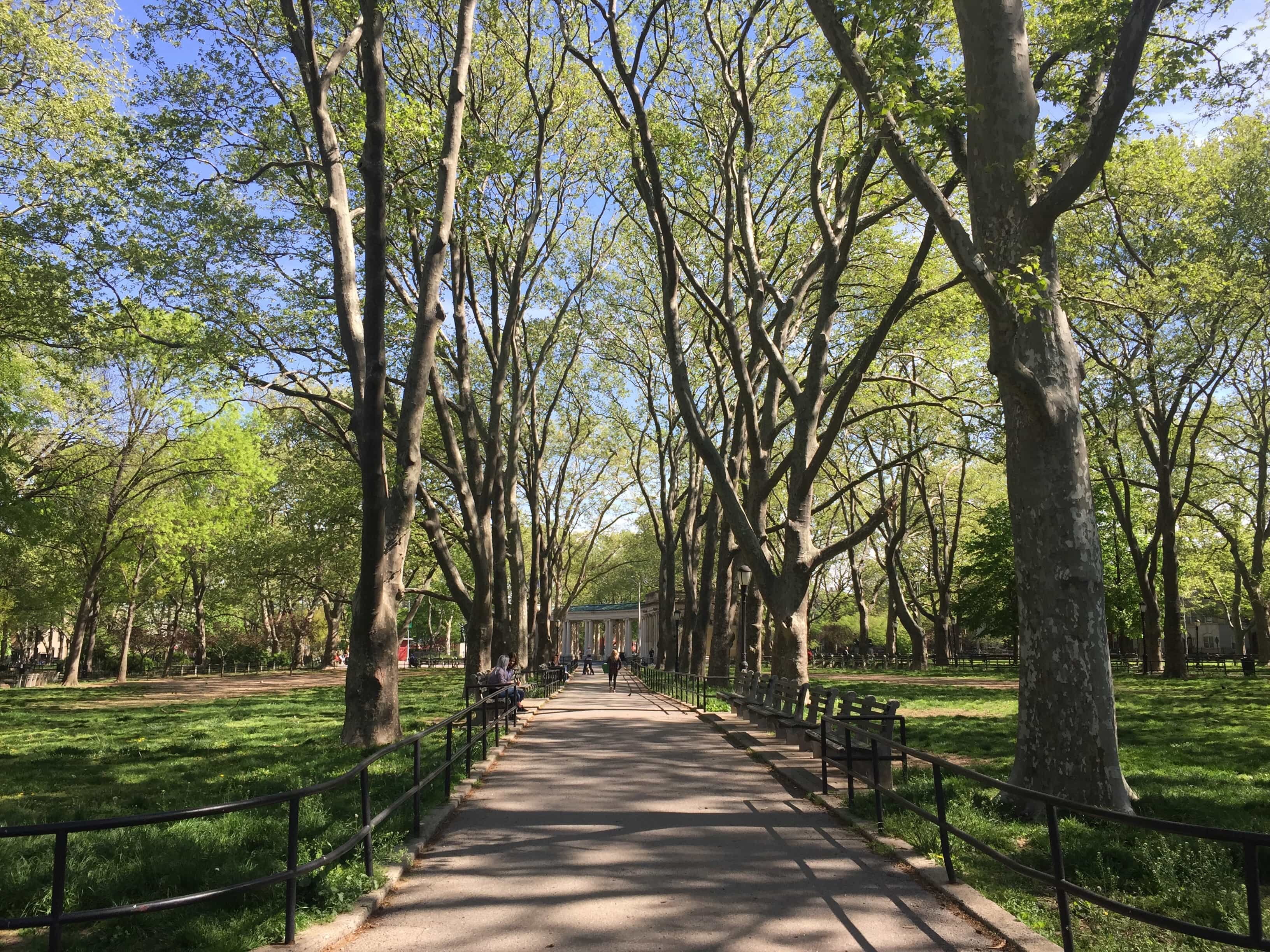 McGolrick Park. Photo: Megan Penmann