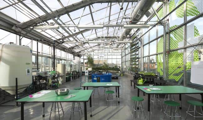 NY Sun Works' Greenhouse Project at PS84, Image Credit: Ari Burling