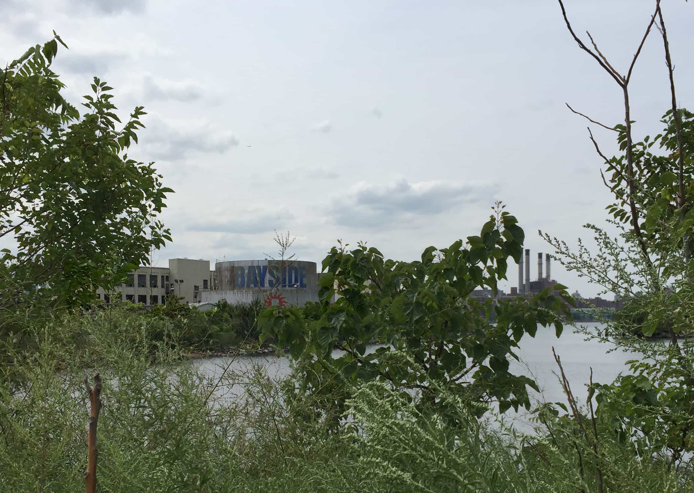 View of Bayside Oil Tanks through the weeds at Bushwick Inlet Park. Photo by Megan Penmann