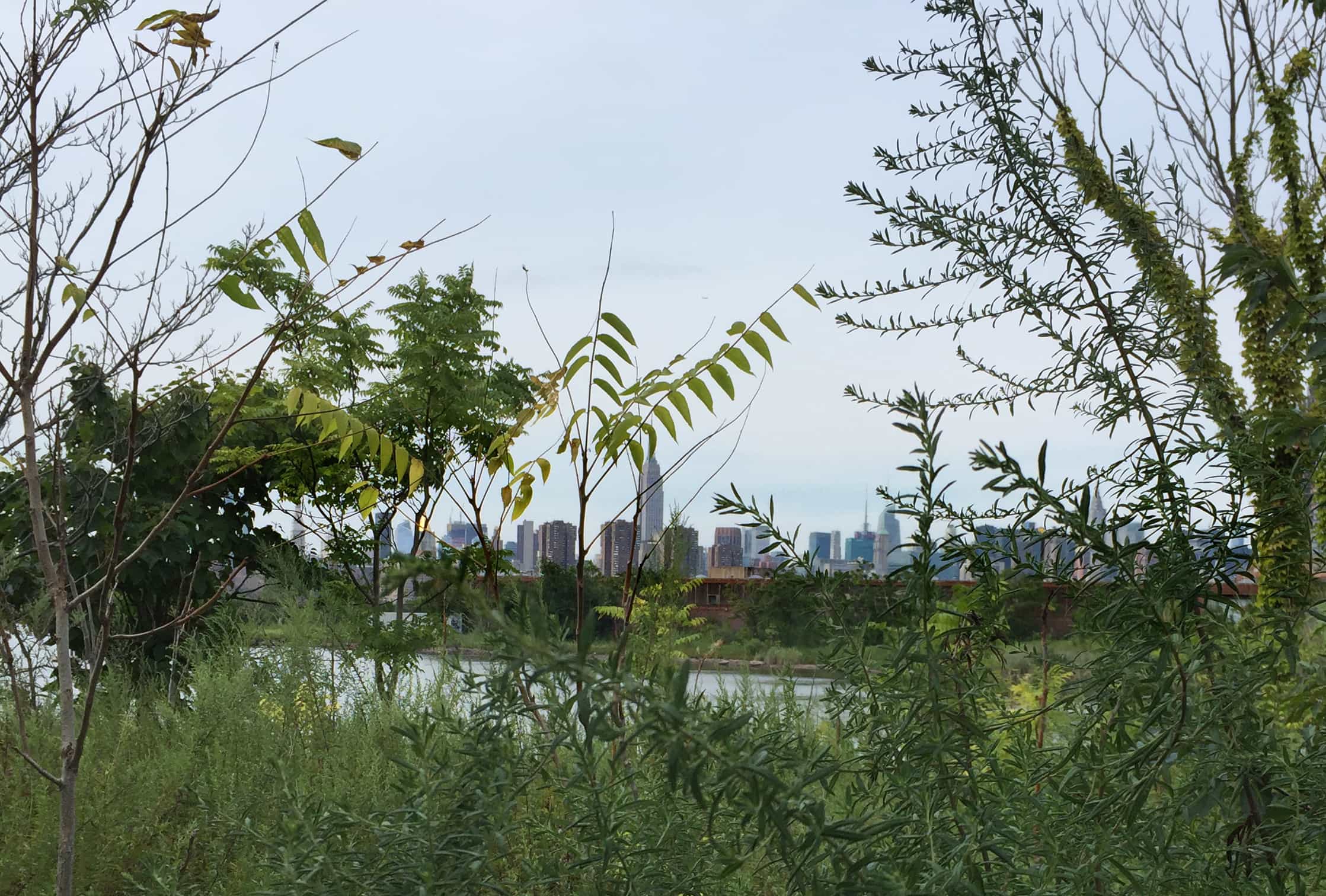 View of Manhattan from Bushwick Inlet Park - Photo by Megan Penmann