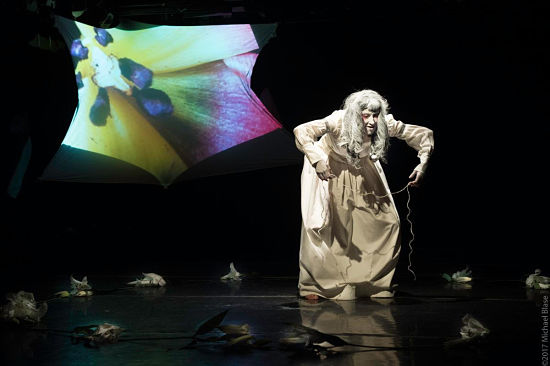 "Flower-Sceret" at Triskelion Arts