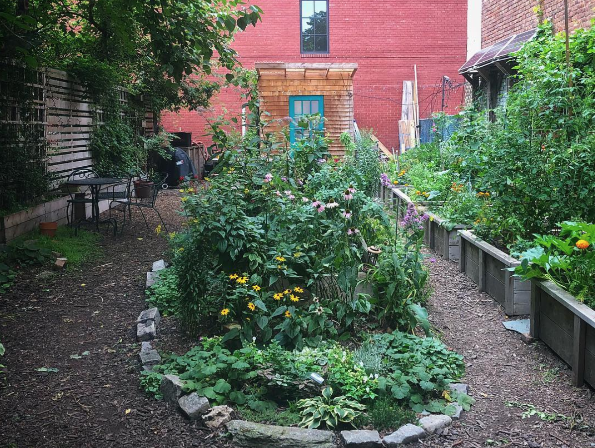 61 Franklin Street Garden. Photo: Megan Penmann