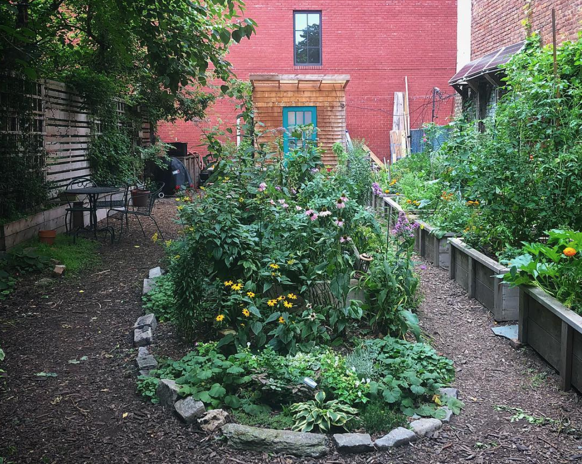 61 Franklin Street Garden. Photo: Megan Penmann