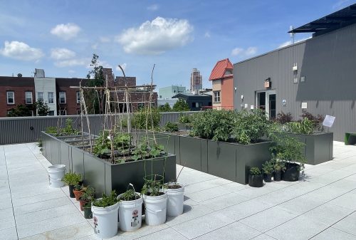 Celebrate Earth Day early, play with LEGOs and more — What’s Happening, Greenpoint? (4/16-22)