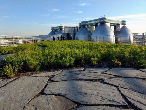 Tour Newtown Creek, sing karaoke, and more — What’s Happening, Greenpoint? (5/21-27)