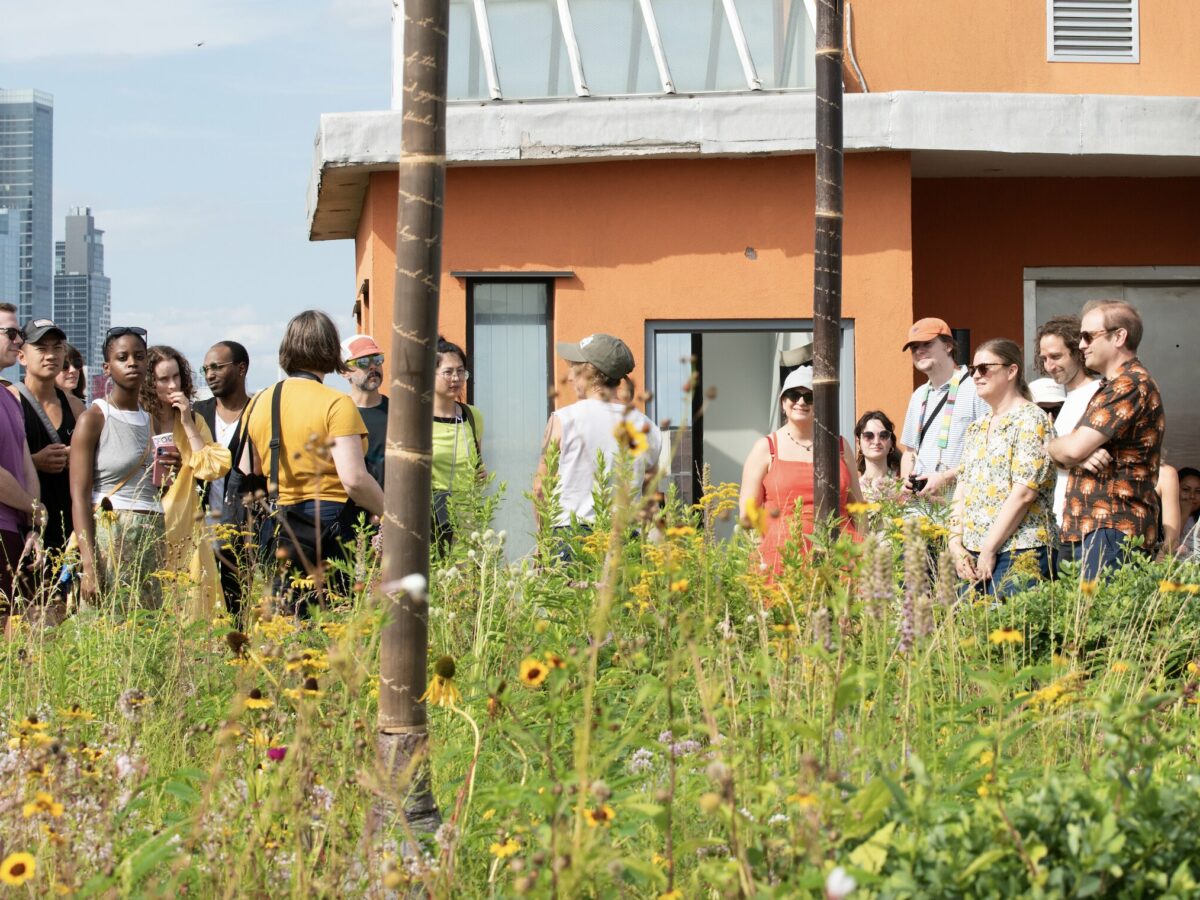 Photo provided by NOoOSphere Arts in Greenpoint