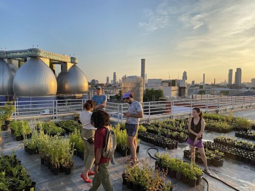 Tour Newtown Creek by bike, catch some movies, and more — What’s Happening, Greenpoint? (4/23-29)