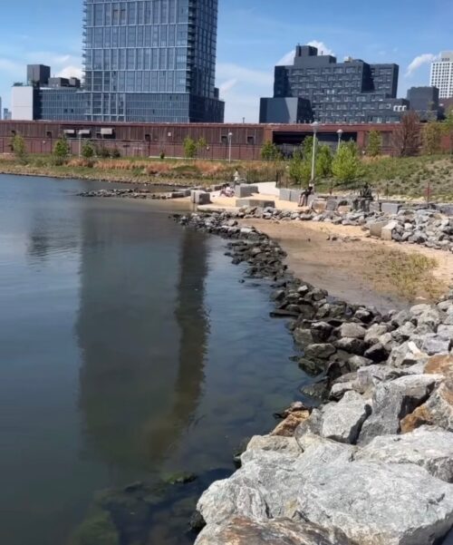 Bushwick Inlet Park’s Motiva Parcel Now Open